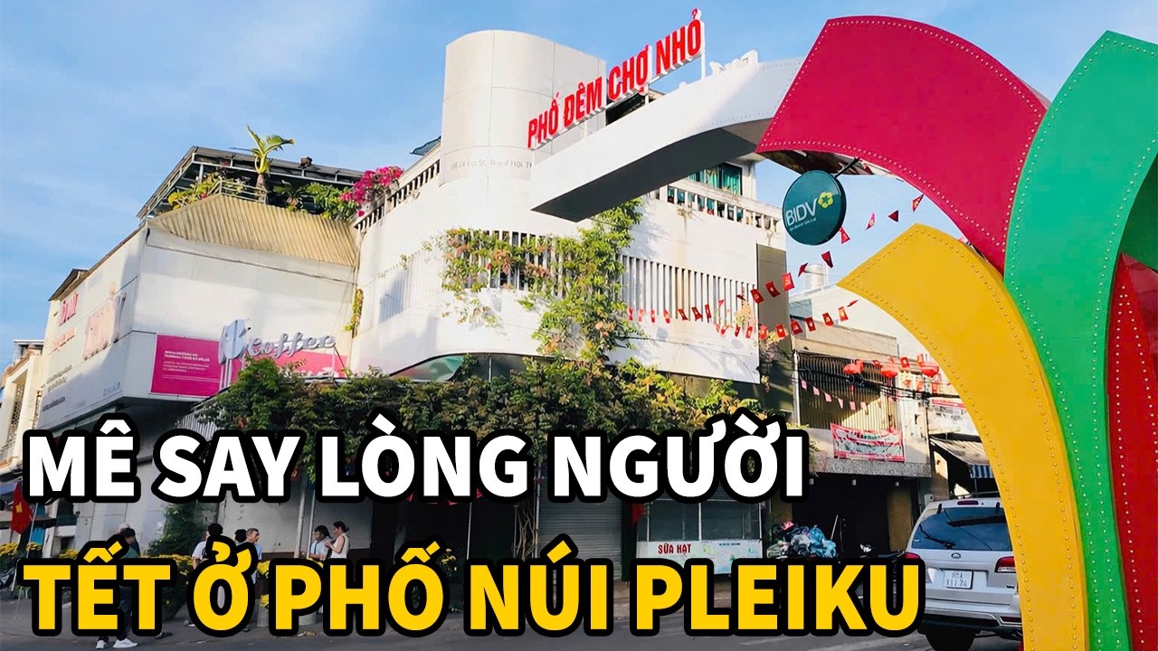 Tết ở Phố núi Pleiku: Đẹp say lòng mùa hoa tuyết trắng giữa đại ngàn