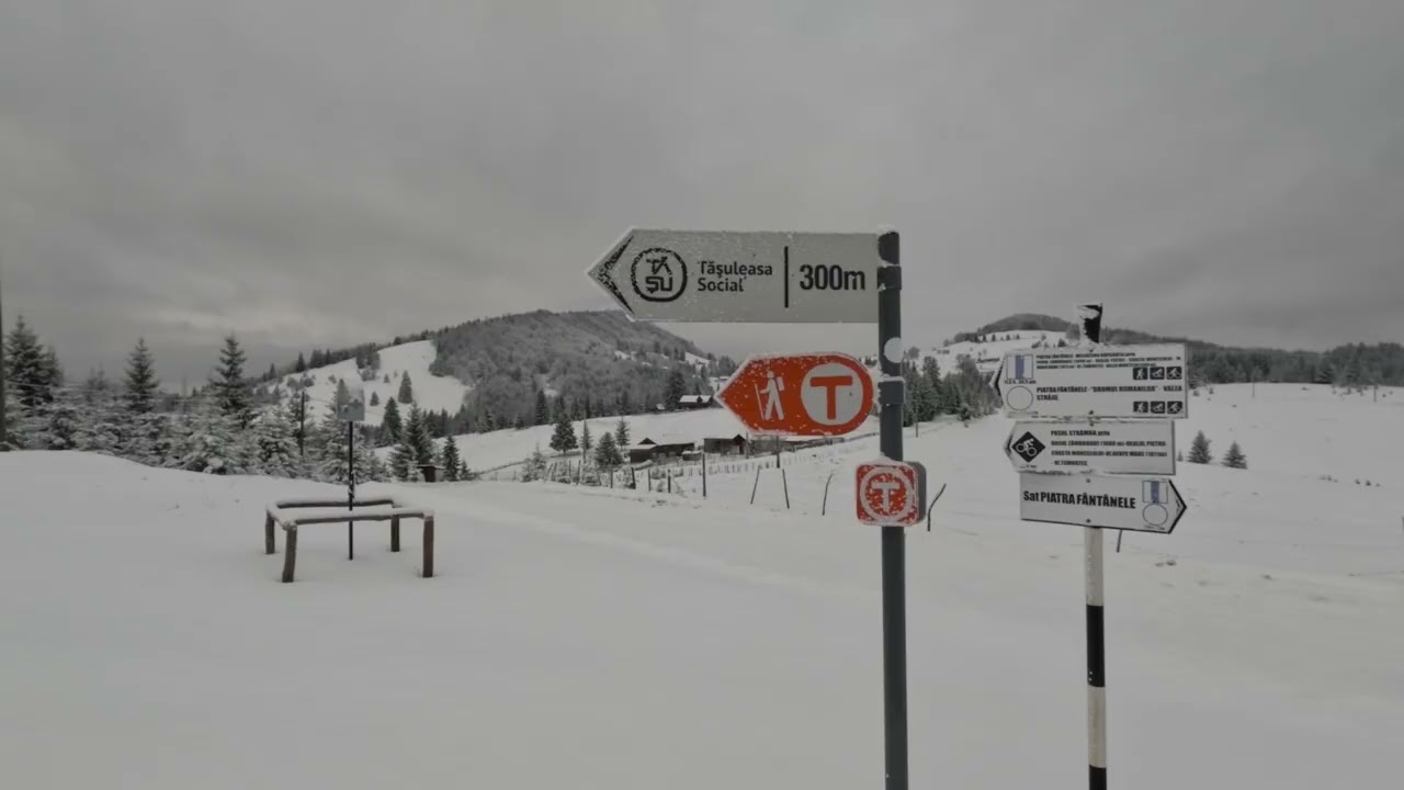 Undeva pe Via Transilvanica, într-o plimbare de iarnă, cu Tinerii Carpaților