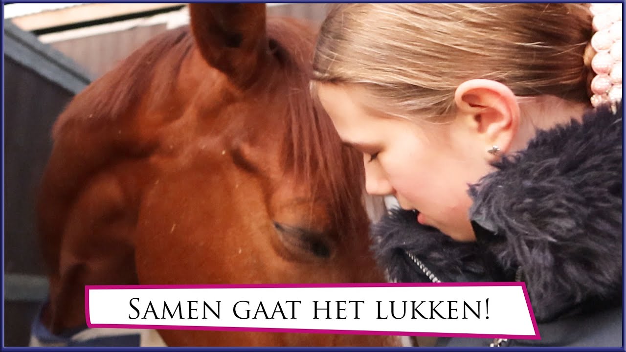 F7 Proefje op Verona! * Hart voor Paarden *