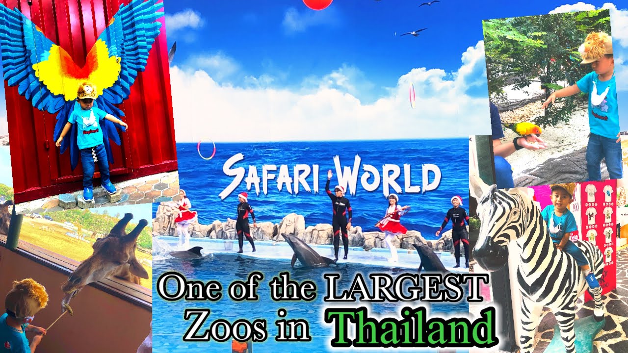 SAFARI WORLD,Largest and most well-known zoos in thailand #touristspot #Popular#bestforkids #animals