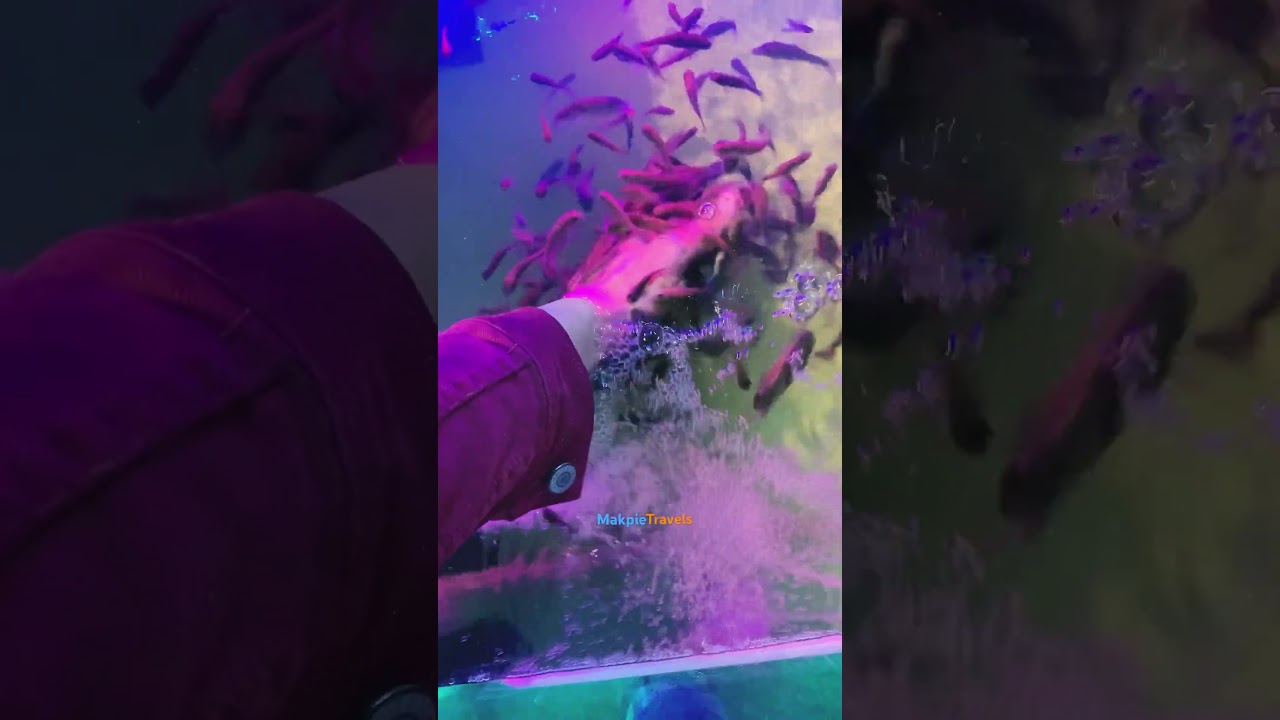 The ultimate natural spa experience!#youtubeshorts #viral #trendingnow #shortfeed