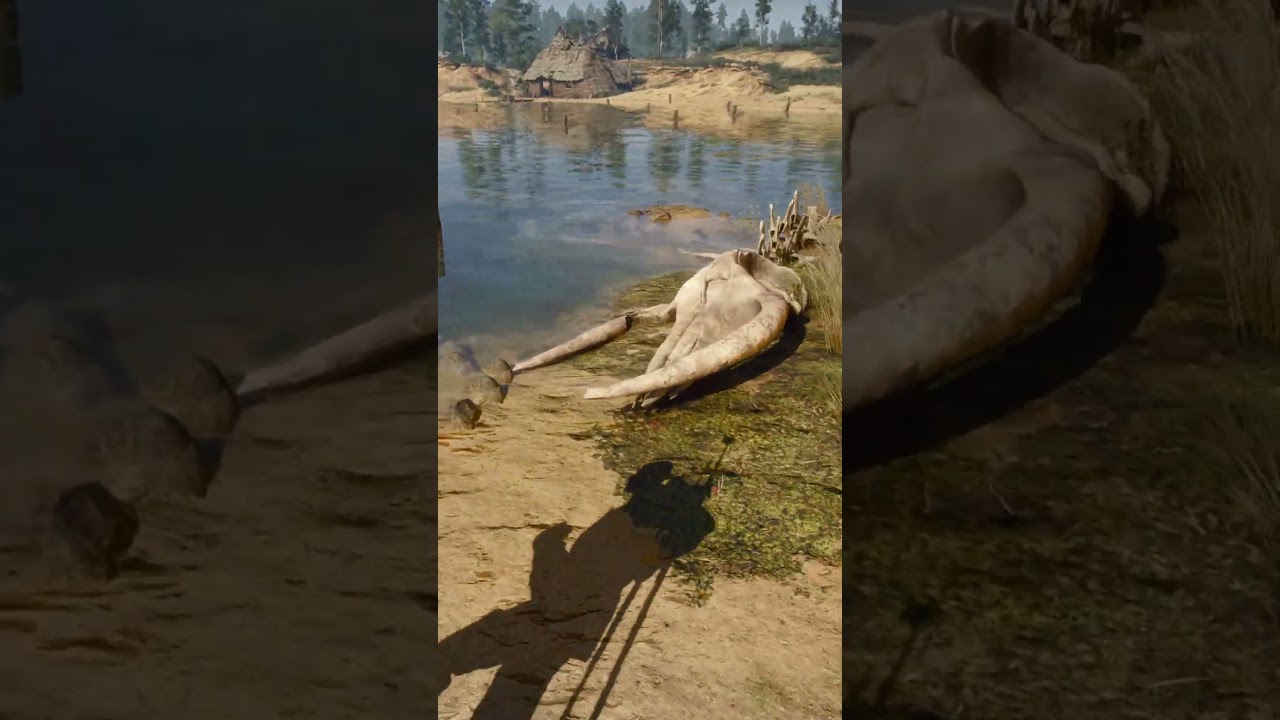 Even hardcore players missed THIS in The Witcher 3