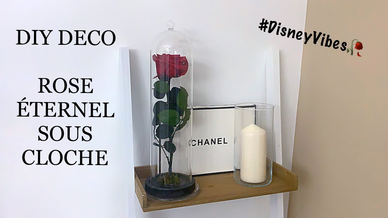 DIY ROSE ETERNEL SOUS CLOCHE 🥀 DISNEY VIBES | SAPHIR BEAUTY