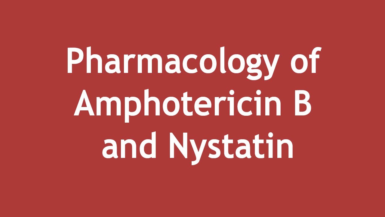 Pharmacology of Amphotericin B and Nystatin [ENGLISH] | Dr. Shikha Parmar
