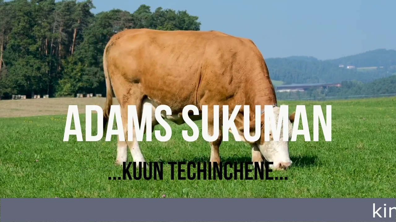 ADAMS SUKUMA - Kuun te chinchene(Audio slide)