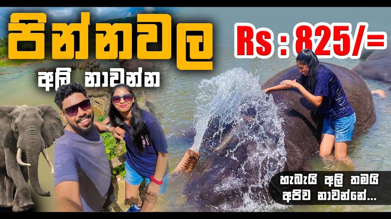 VISIT SriLanka's Most FAMOUS Pinnawala Elephant Orphanage | පින්නවල අලි අනාතාගාරය 🐘