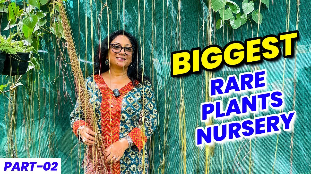 यहाँ हैं दुर्लभ पौधों की भरमार 🤩 Rare Plants Nursery 😮 🪴 ऐसे पौधे कही नहीं मिलेंगे 😯