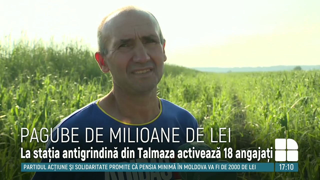 Pagube de milioane de lei la Ștefan Vodă. Mii de hectare de culturi agricole, distruse de grindină