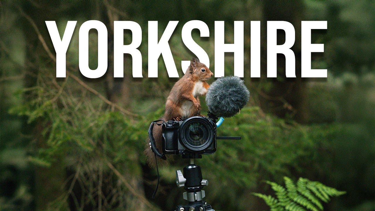 Wildlife and landscape photography | The spectacular Yorkshire Dales with 35mm Film