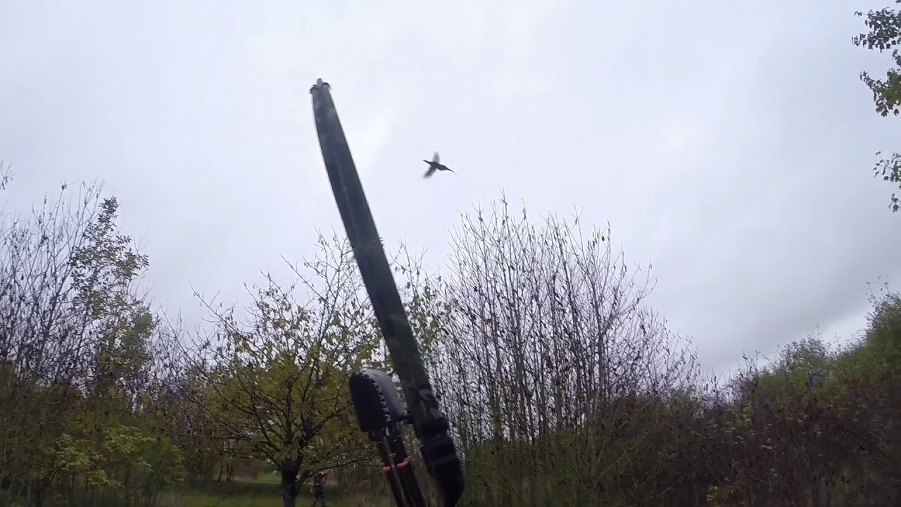 montage chasse arc faisans lievres 2017