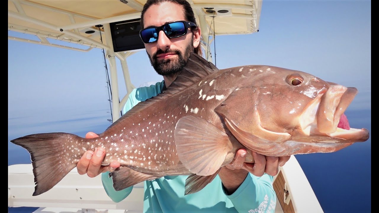 Naples Florida Red Grouper Offshore Fishing