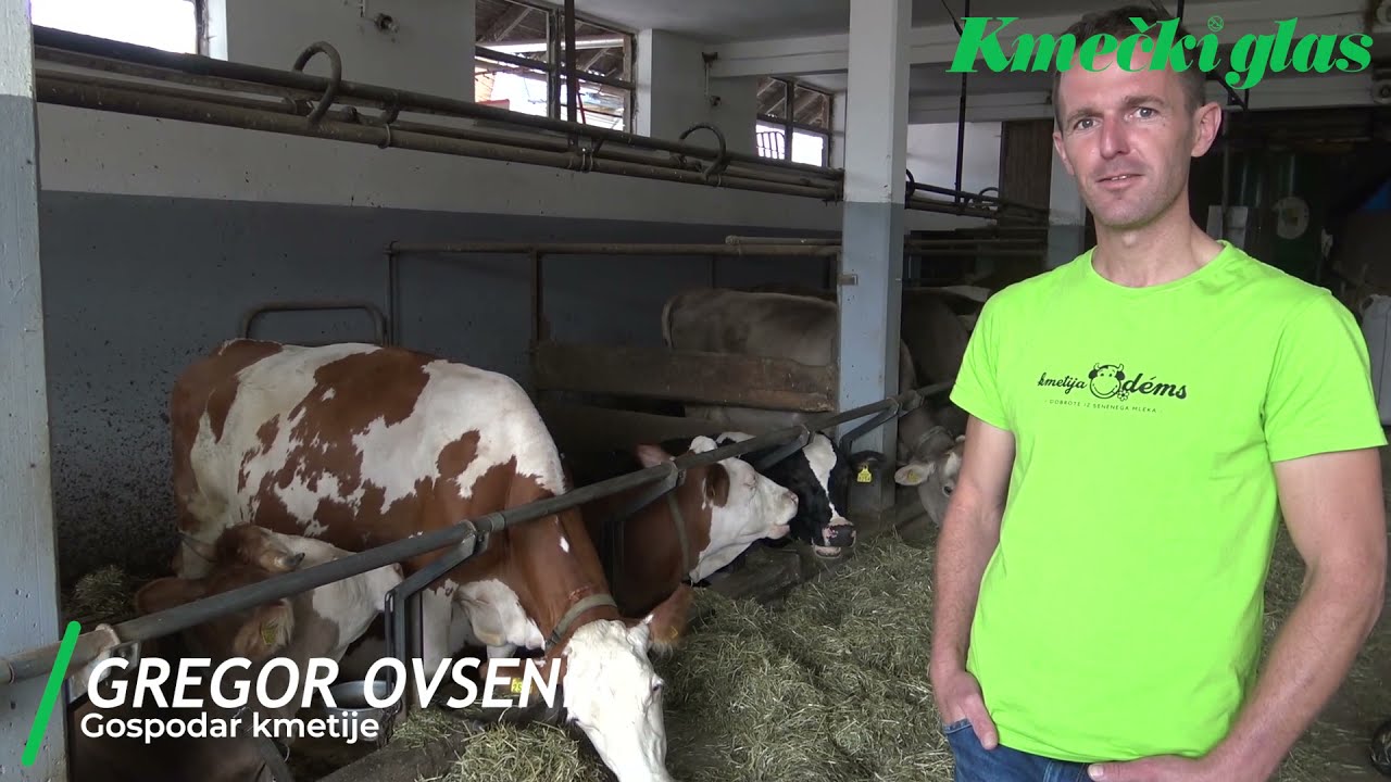 Bolje prirediti manj, pa tisto dobro prodati – KMETIJA ODEMS