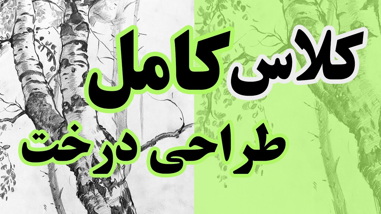 آموزش طراحی_طراحی برای مبتدیان_طراحی با مداد کنته_ طراحی درخت_ طراحی شاخه های درخت
