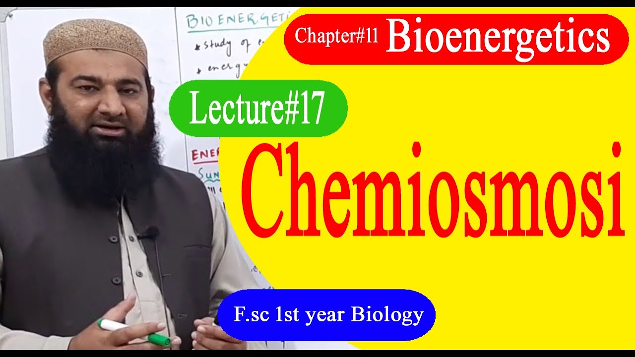 Biology Ch#11-Lecture#17 Chemiosmosi  (F.Sc 1st Year)