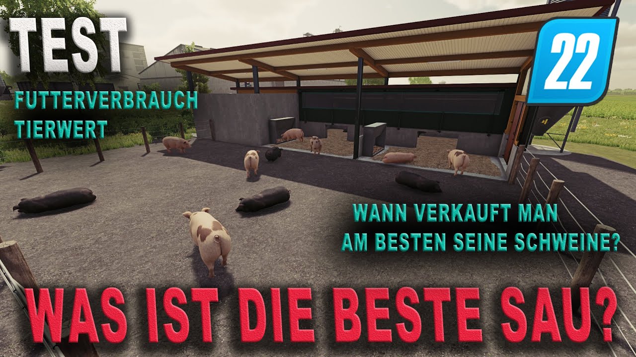 LS22 Test - SCHWEINE - Mit was füttern? - Wann verkaufen? - Beste Rasse?  v.1.8.2