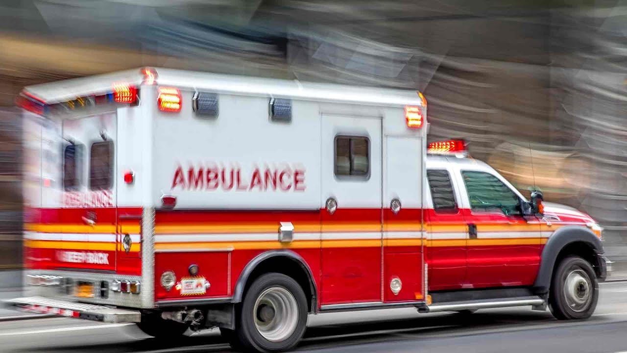 Chicago Botanic Garden lights display falls on women, children: suit