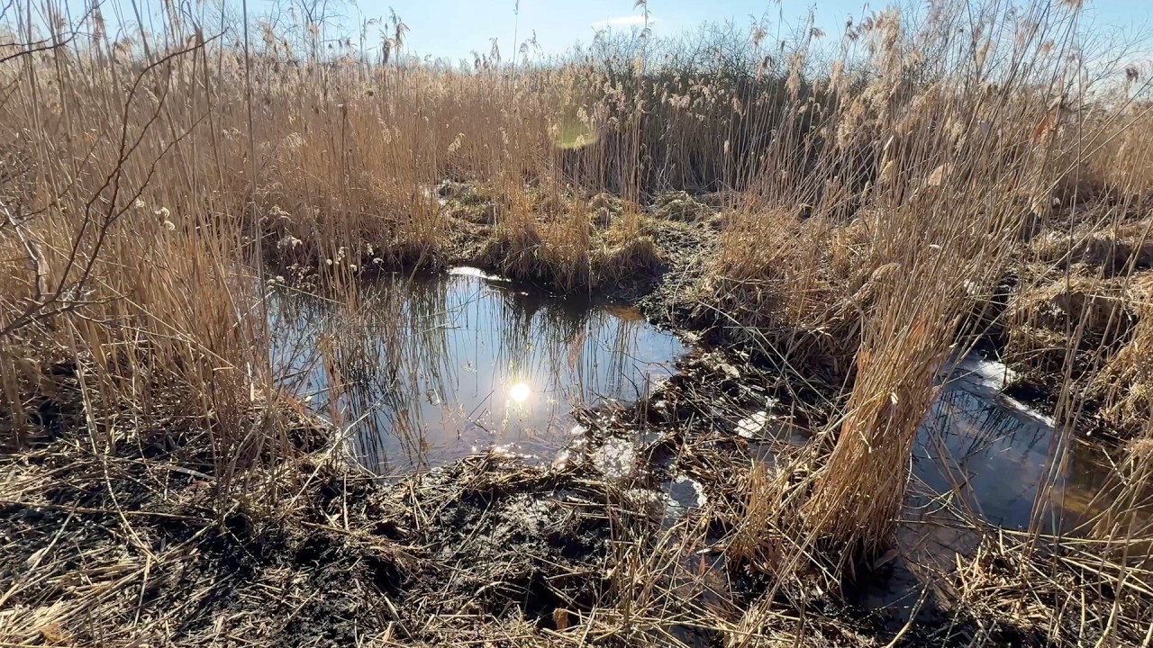 Bagienne refleksje - 6 lat p&oacute;źniej w Krakowie