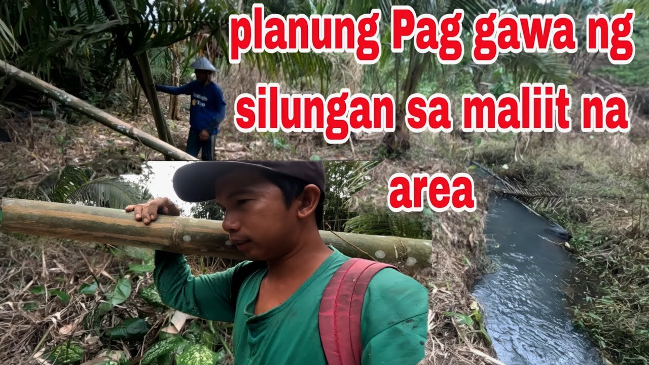 Planung Pag gawa ng masisilungan  sa maliit na area at Pag tanim ng senyorita