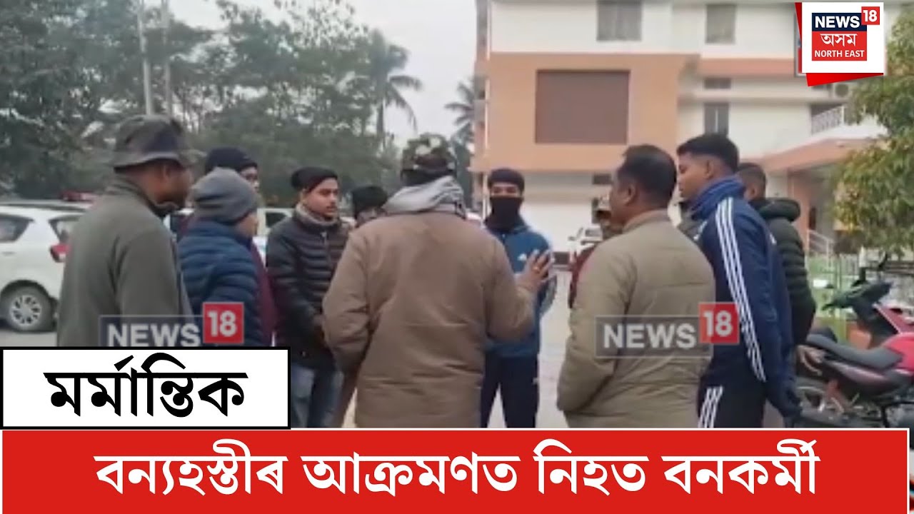 Kaliabor Elephant Attack| বন্যহস্তীৰ আক্ৰমণত নিহত বনকৰ্মী| N18V