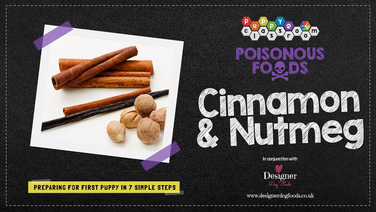 Can Dogs Eat Cinnamon and Nutmeg?
