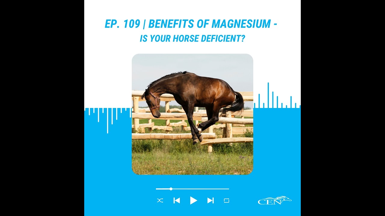 Ep. 109 | BENEFITS OF MAGNESIUM - Is Your Horse Deficient?