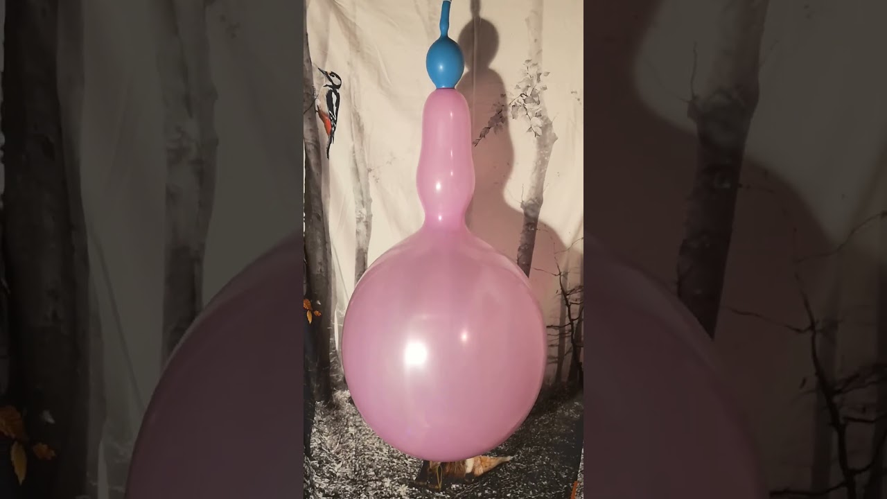 Pump to Pop 2 Cattex 18 inch Punchball Balloons Pink Blue glued together #balloon #balloonpop