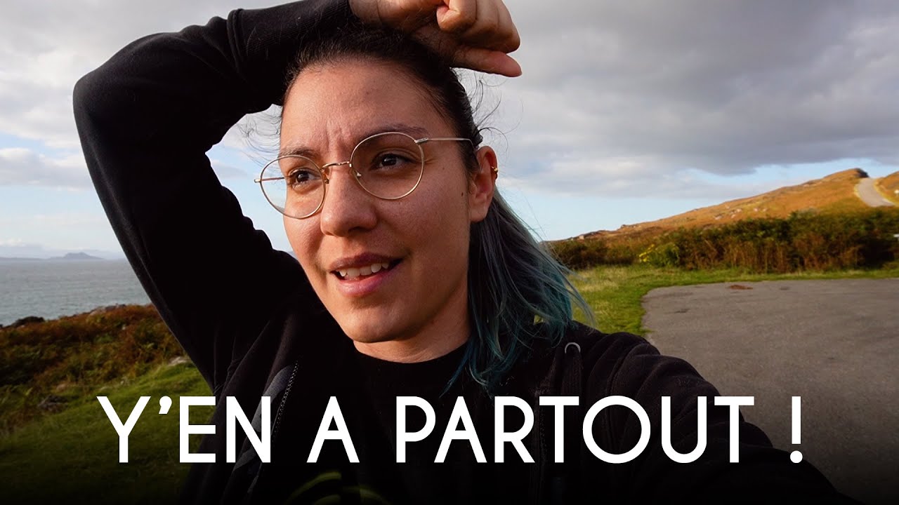 Y'en a partout ! LE BRAME DU CERF EN ÉCOSSE |  RoadTrip dans les Highlands ep.20