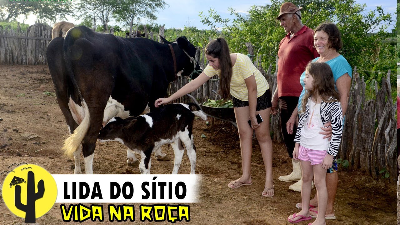 [VIDA NA ROÇA] SÍTIO SÃO JOSÉ | CRIADOR: Lida e que Começou com duas Cabras e hoje tem seu Sítio 🌵