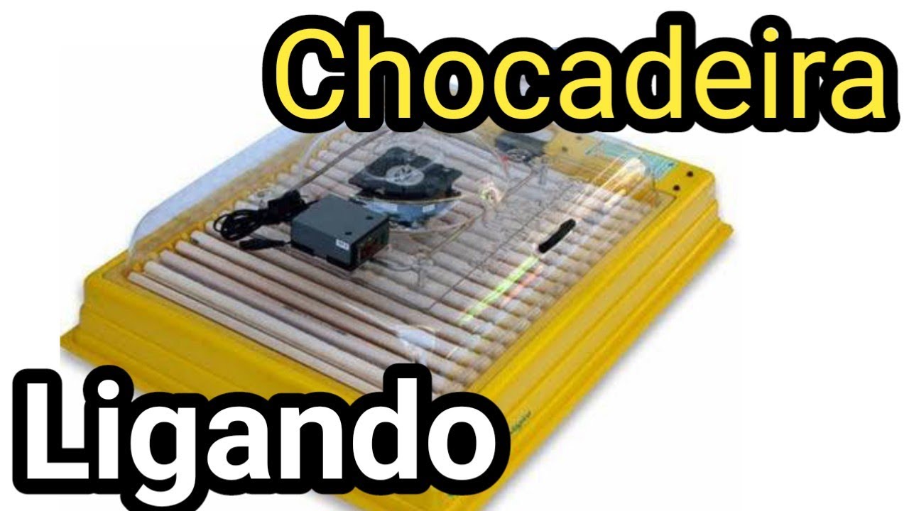 Ligando Chocadeira