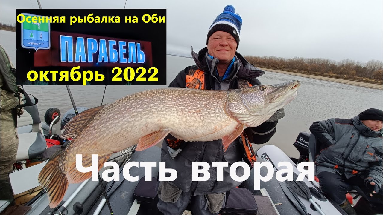 Парабель. Осенняя рыбалка на Оби. Октябрь 2022. Часть вторая.