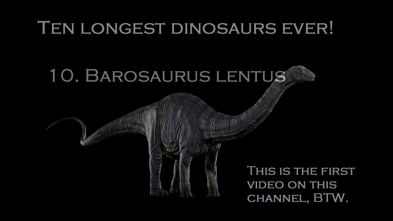 Top 10 LONGEST DINOSAURS EVER
