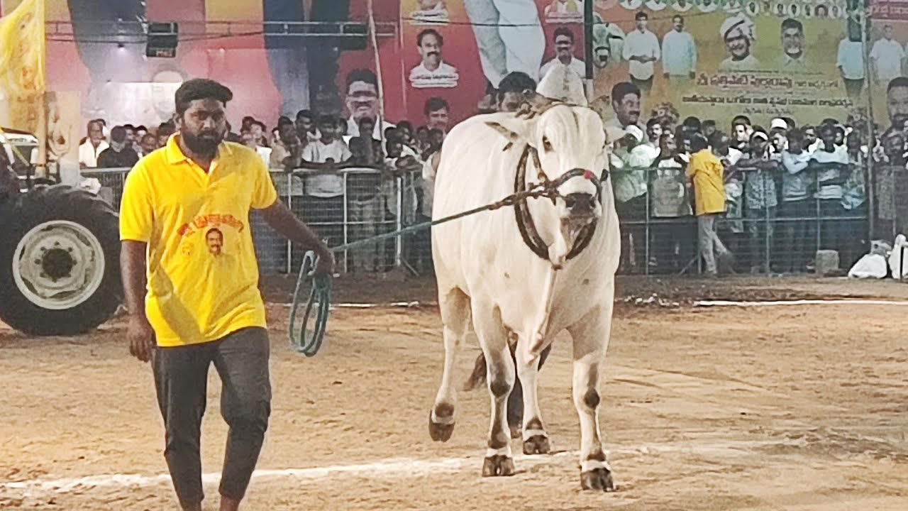 చిలకలూరిపేట సీనియర్స్ విభాగంలో 12వ జత  తేజేశ్వర్ రెడ్డి,  కంబైన్డ్ ద్వార్శల గురివిరెడ్డి,