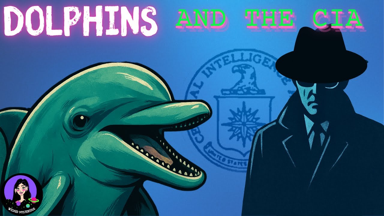 Dolphins: CIA Psychedelic Spies