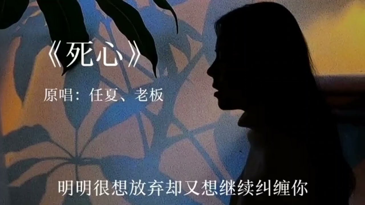 [MV] 《死心》 - #任夏、 #老板 「在熟悉的路口你向左我向右，我们谁都没挽留」 #死心  #音乐  #抖音  #抖音音乐  #新歌上线  #douyin  #tiktok  #MV