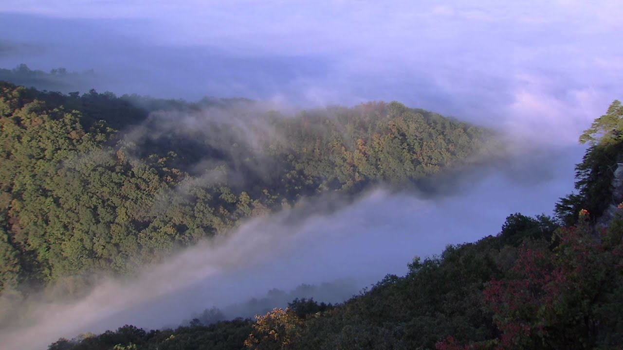 The Great Migration in Southwest Virginia