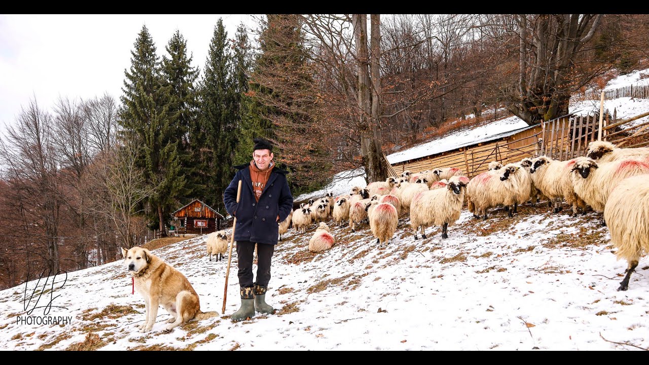 Sălașul pastoral din Slima Parang asezare imbratisata de culmi valurite al fam.  Galatan Nicolae !