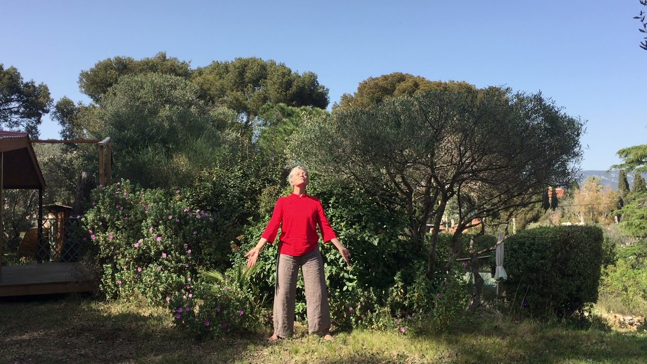 Ziran Qigong : Zitong Gong (1ère partie) de Maître Liu Deming