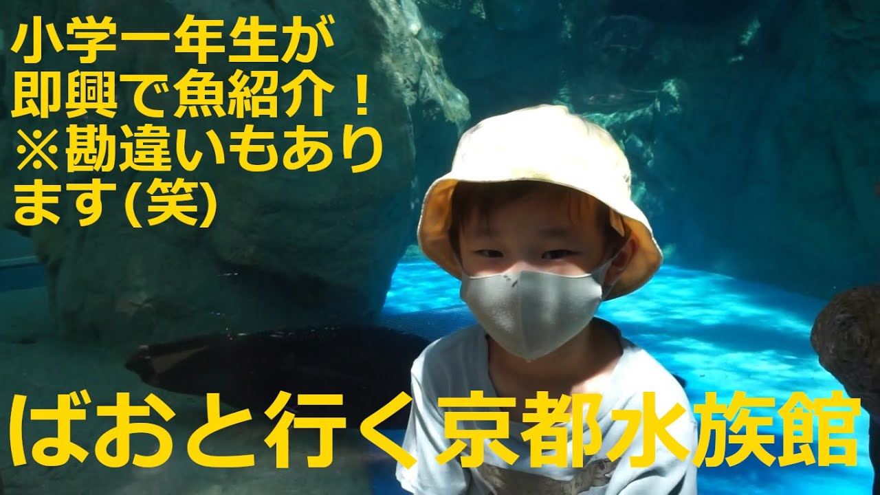 【お出かけ】京都水族館紹介！！小学一年生のばおが京都水族館を即興で紹介します。意外な知識とたまに見せる勘違い(笑)リアルな小学一年生の視点とお魚を堪能下さい(^^♪