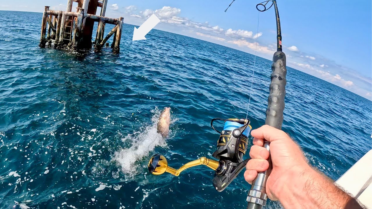 Things Got CRAZY When I Dropped Live Baits Around This RIG! | SOLO Offshore Day