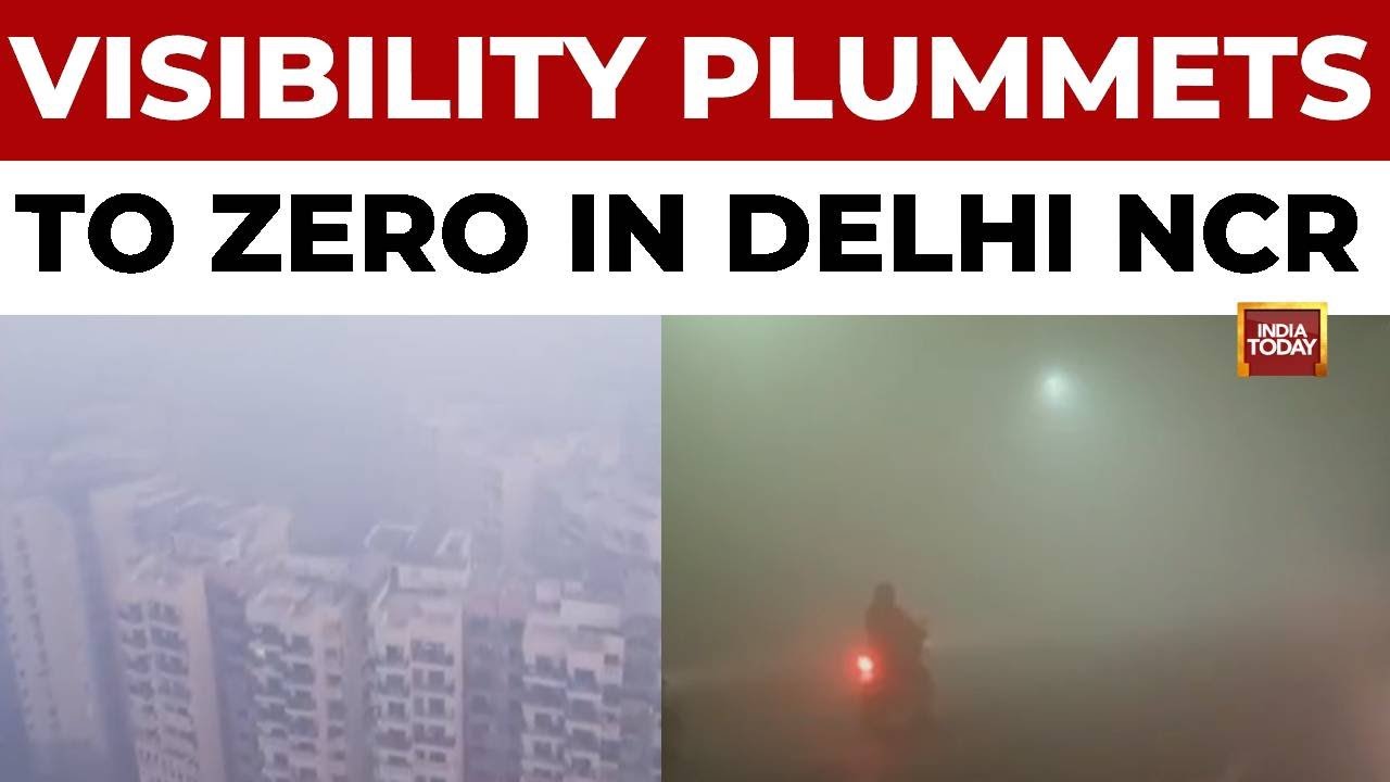 Delhi NCR Engulfed In Dense Fog As AQI Slips To 'Severe' Category | Zero Visibility Hits Capital