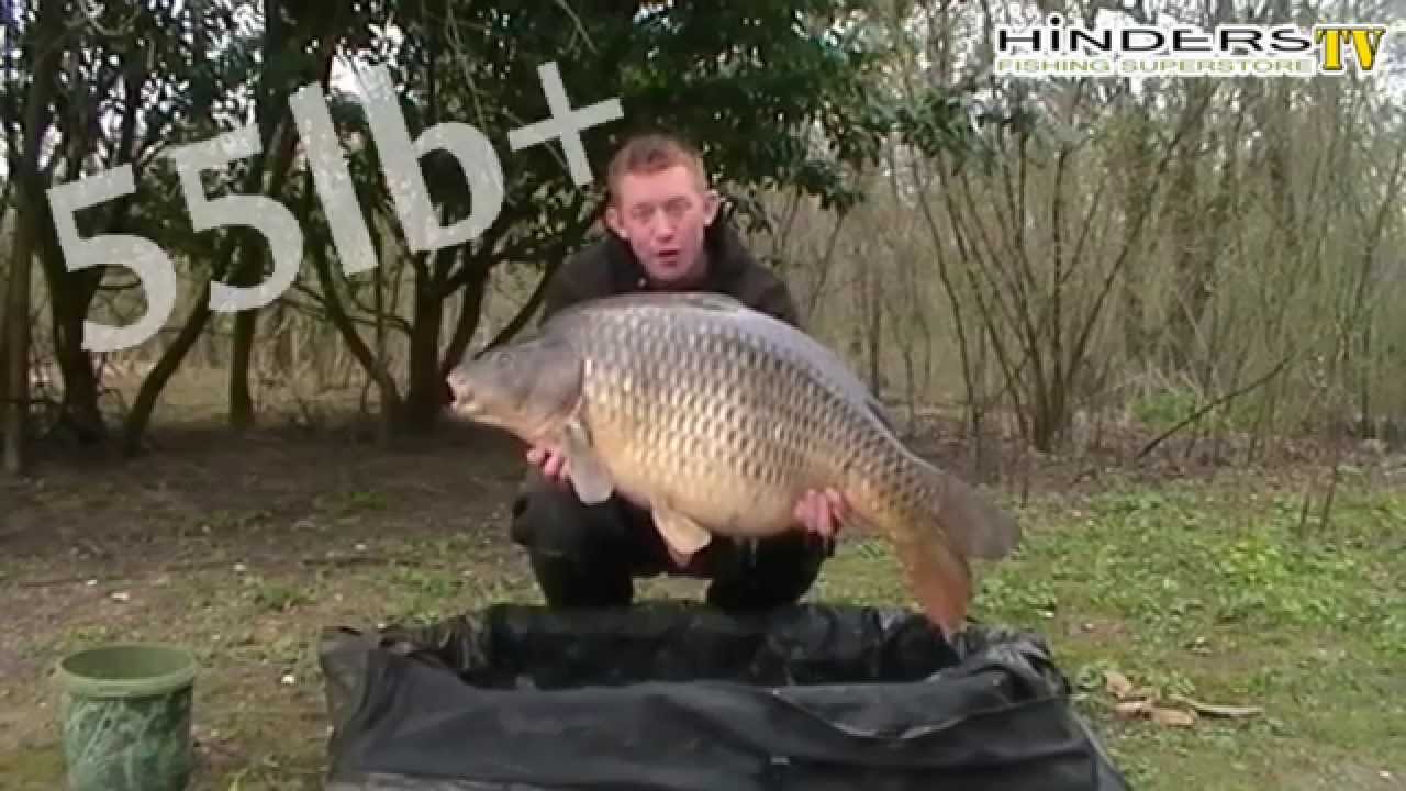 Best Hookbait Enhancer For Carp - Betalin & Black