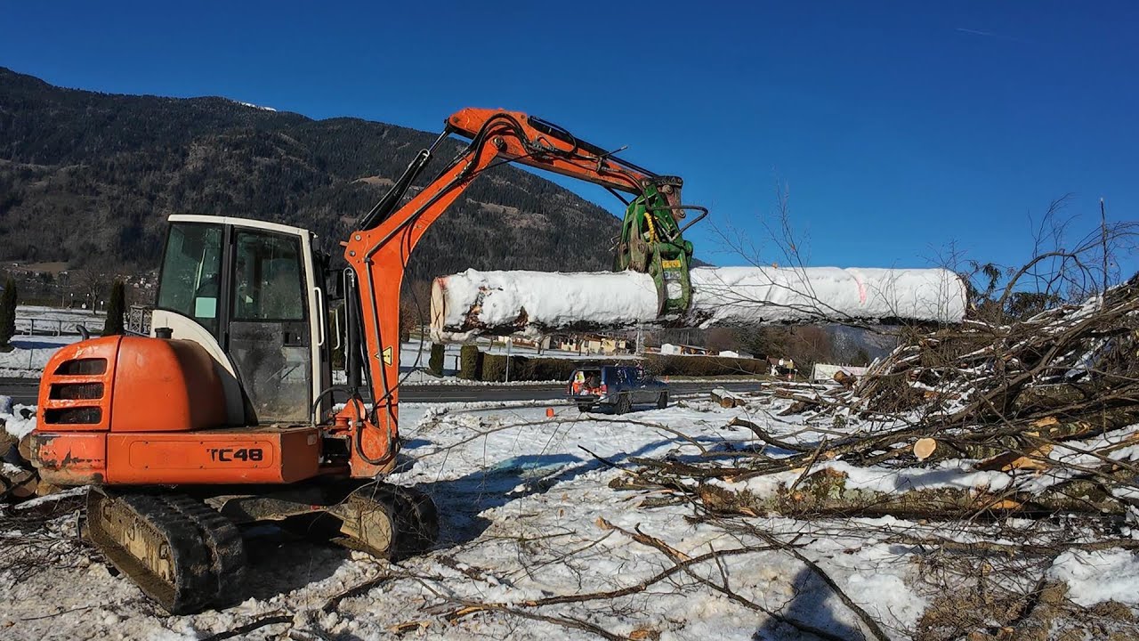 Das Holz wird stärker - der Bagger kleiner [ piccolo escavatore ]