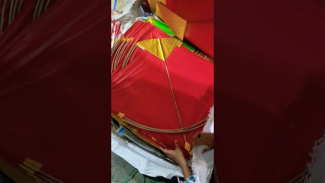 Unique Kites Designs 🤩 Jammu Kite Market 2024 😍 Kite Shopping 2024 🔥 Patang Kite Video #shorts #kite