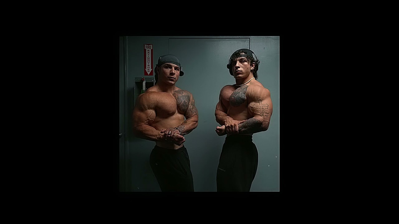 THREE DAYS GRACE - ANIMAL I HAVE BECOME - TREN TWINS EDIT AUDIO (SLOWED)