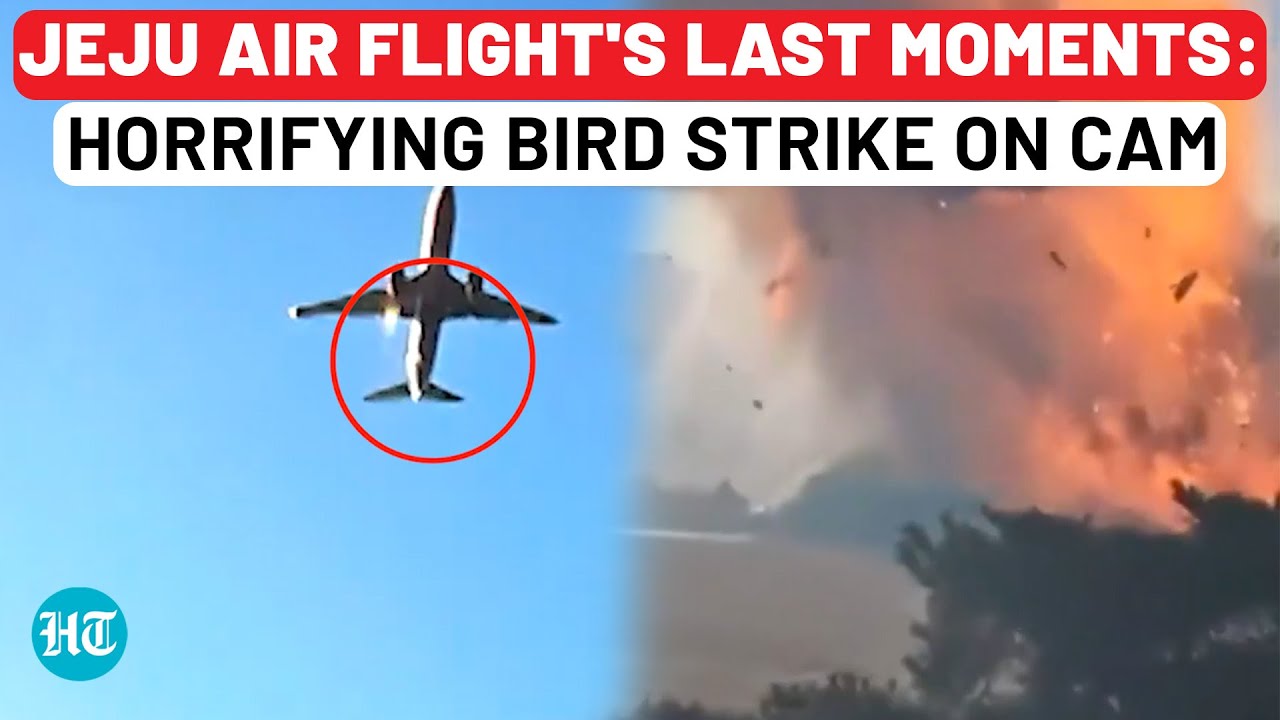Jeju Air Tragedy: Final Moments Of Disaster Caught on Camera | Bird Strike Causes Catastrophic Crash
