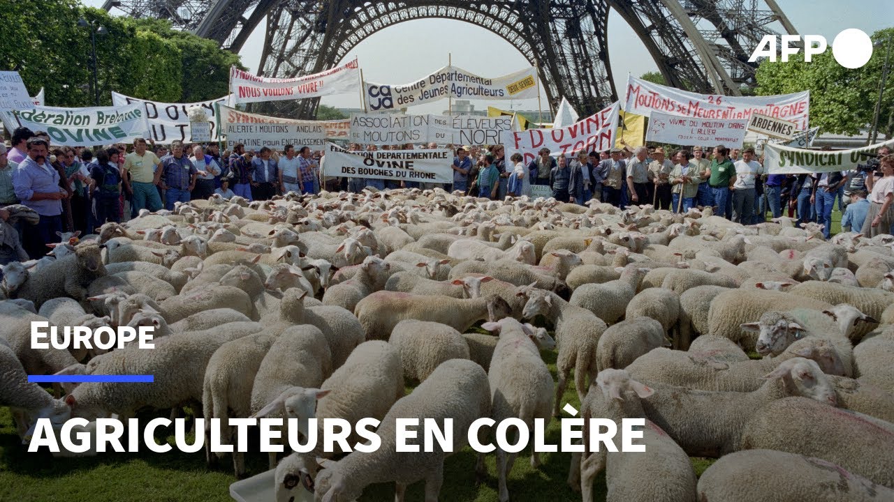 Pourquoi les agriculteurs européens manifestent ?