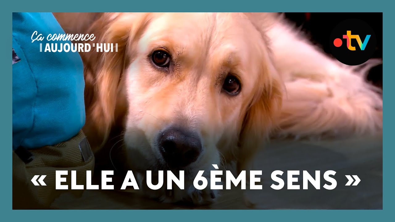 Cet animal a changé leur vie ! - Ça commence aujourd'hui