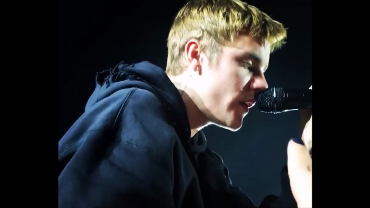 Justin Bieber singing Purpose at Hamburg Purpose Tour in Germany - November 14, 2016