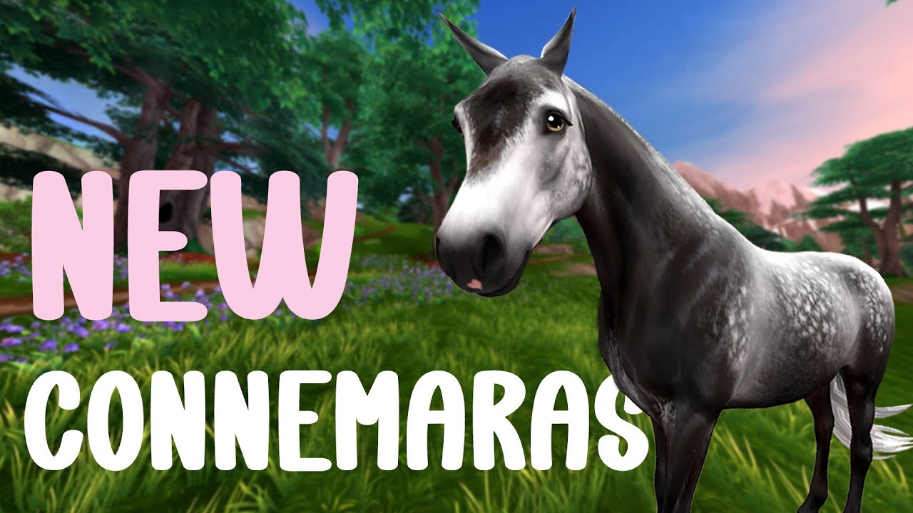 buying a new connemara!! - star stable