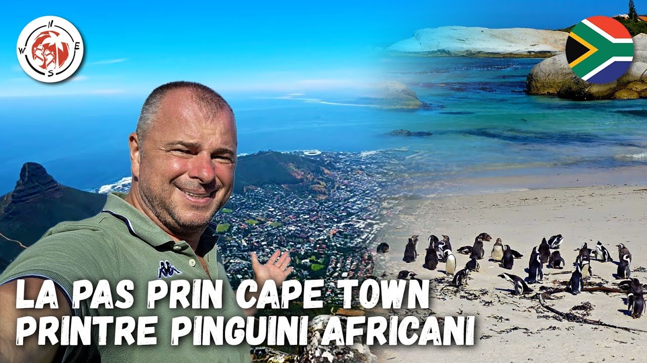 Printre Pinguinii Africani la Capul Bunei Speranțe, Africa de Sud